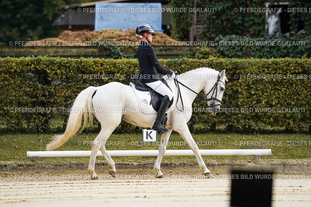 DSC05427 | Pferdegrafie