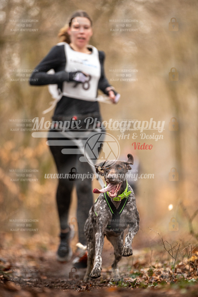 Reiat2023_SON_CaniXRun_5km_W-12 | PayLife