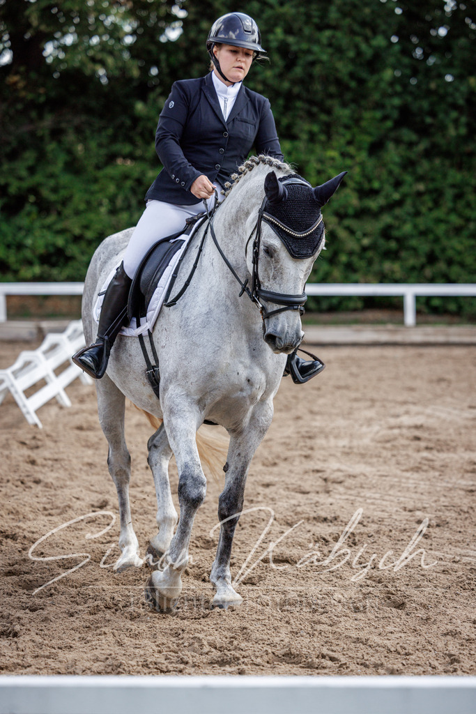 20260905-_3LI7670 | Tierfotografie Pferde, Hunde, Katzen, Haustiere.
Turnierfotografie Reitturniere, Reiten, Springreiten, Dressur in Hanau, dem Main-Kinzig-Kreis und dem Rhein-Main- Gebiet um Frankfurt