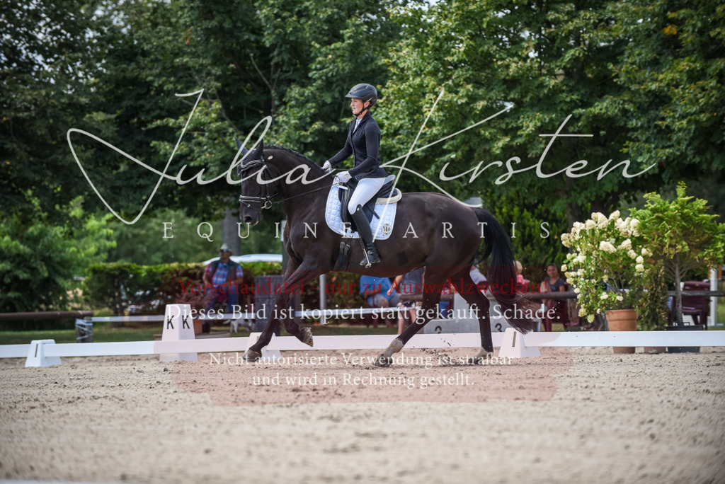 DSC_9069 | Pferde- und Turnierfotografie in Westsachsen. Pferdeportraits, Auftragszeichnungen und intuitive Kunst.