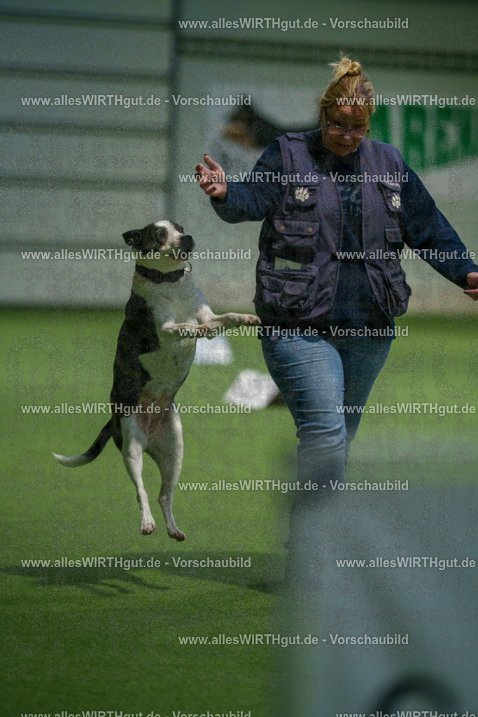 7R504771 | Professionelle Tierfotografie in Mönchengladbach von Daniel Wirth (allesWIRTHgut). Liebevolle & natürliche Bilder von Hunden & Katzen für unvergessliche Erinnerungen.