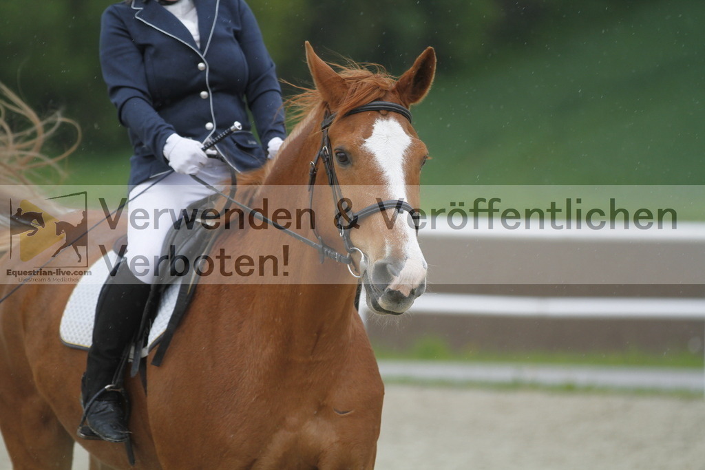 _MG_1009 | equestrian-live-com