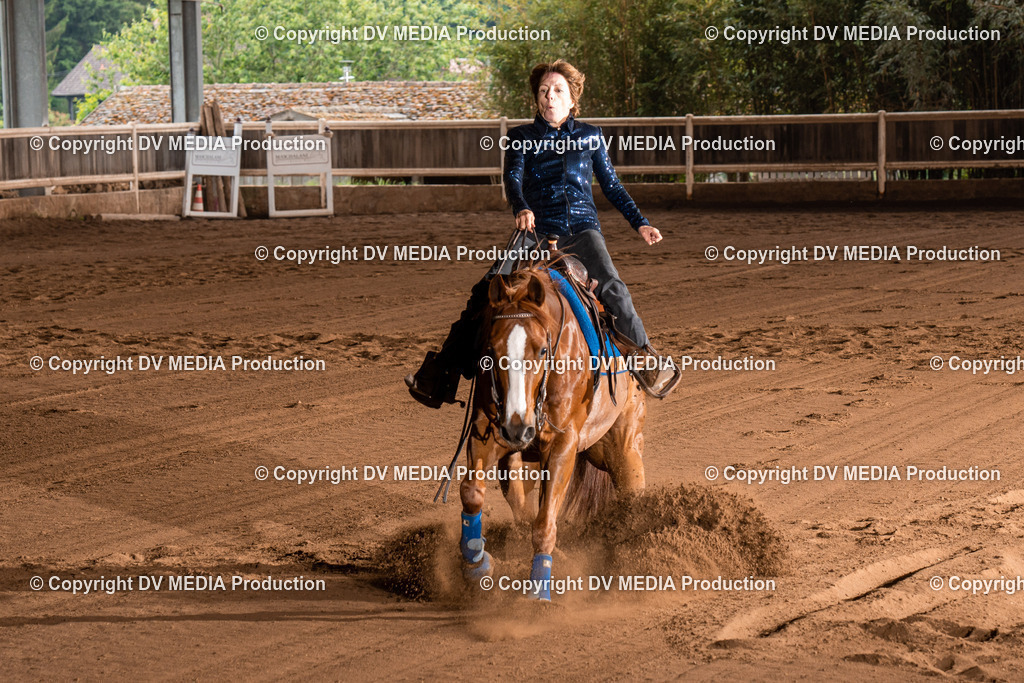 Erbach Tag 2-827 | dv-media-shop - Realisiert mit Pictrs.com