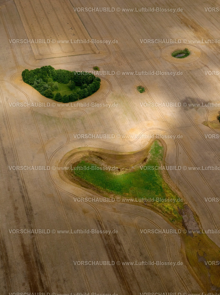 Laage12081632 | Feld mit Waldflecken, Acker, Feld, Moränenlandschaft,  Dettmannsdorf, Mecklenburg-Vorpommern, Deutschland, Europa 