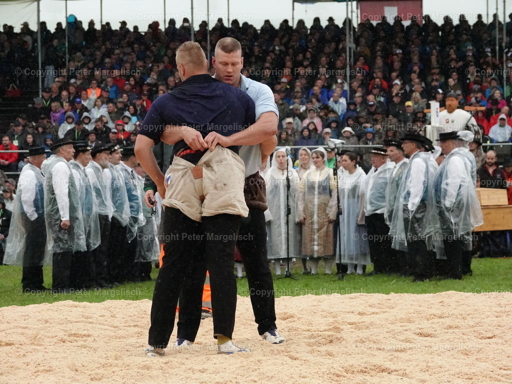 DSC07930 | Schwingen - Realisiert mit Pictrs.com