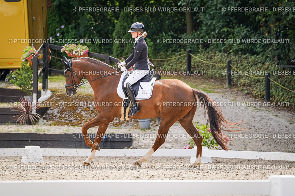 DSC08393 | Pferdegrafie