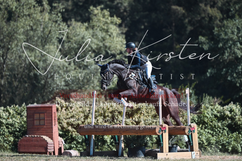 DSC_8577 | Pferde- und Turnierfotografie in Westsachsen. Pferdeportraits, Auftragszeichnungen und intuitive Kunst.