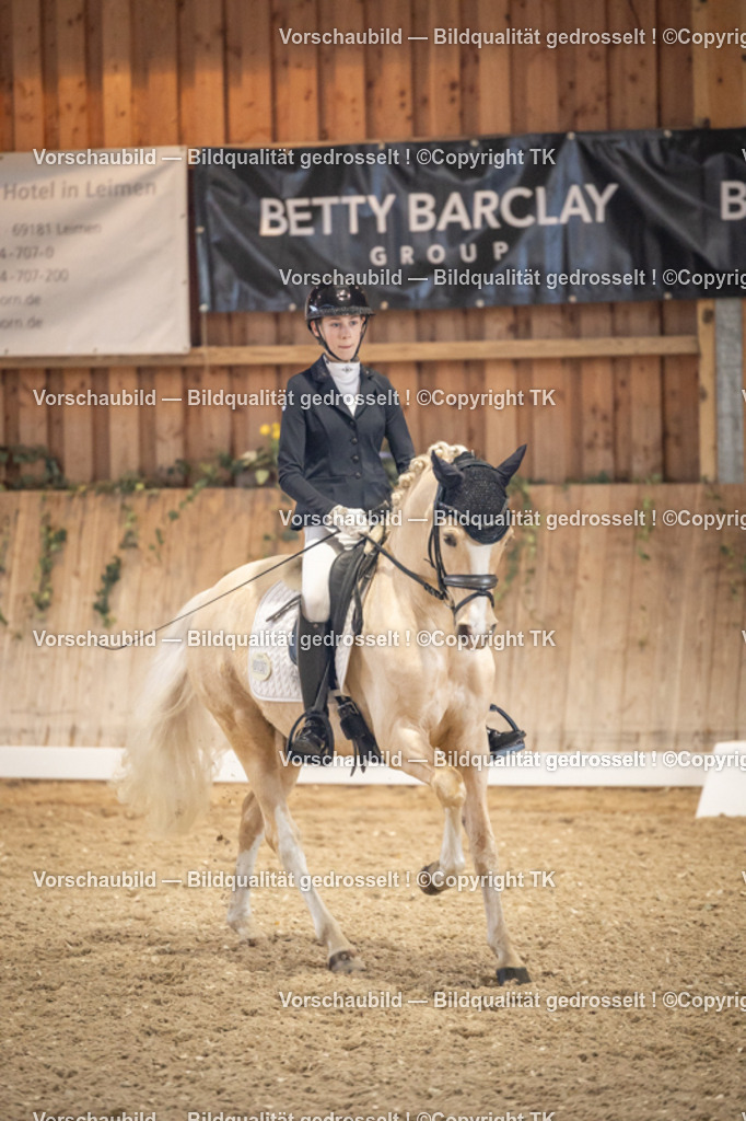 _D5A1378 | Emotionale Pferde- & People-Fotografie rund um Heidelberg, Leimen & Umgebung. Natürliche Fotos von Pferd, Mensch & Familie. Jetzt Termin sichern!