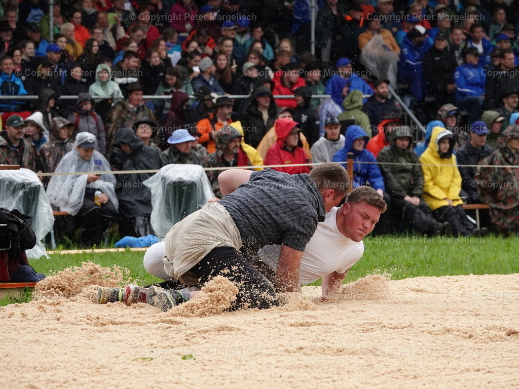 DSC07559 | Schwingen - Realized with Pictrs.com