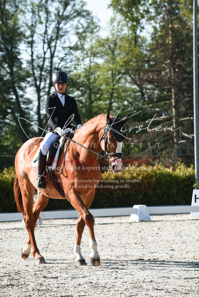 20230518_JK-Röhrsdorf-09-0405 | Pferde- und Turnierfotografie in Westsachsen. Pferdeportraits, Auftragszeichnungen und intuitive Kunst.