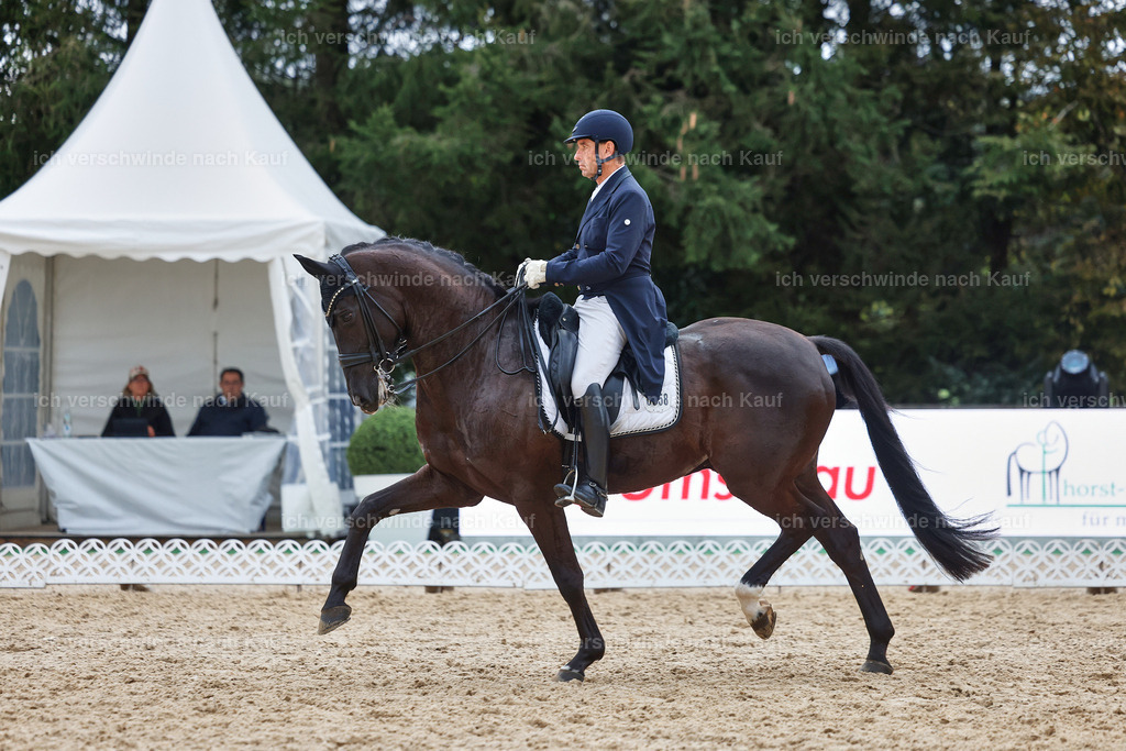 12-058-DRESSUR  S___  -StoibPH-5367 | working equitationturnier fotograf videograf stoibphotography marixx film working equitation deutschland reitsport turnierfotografie eventfotografie equestrian events
