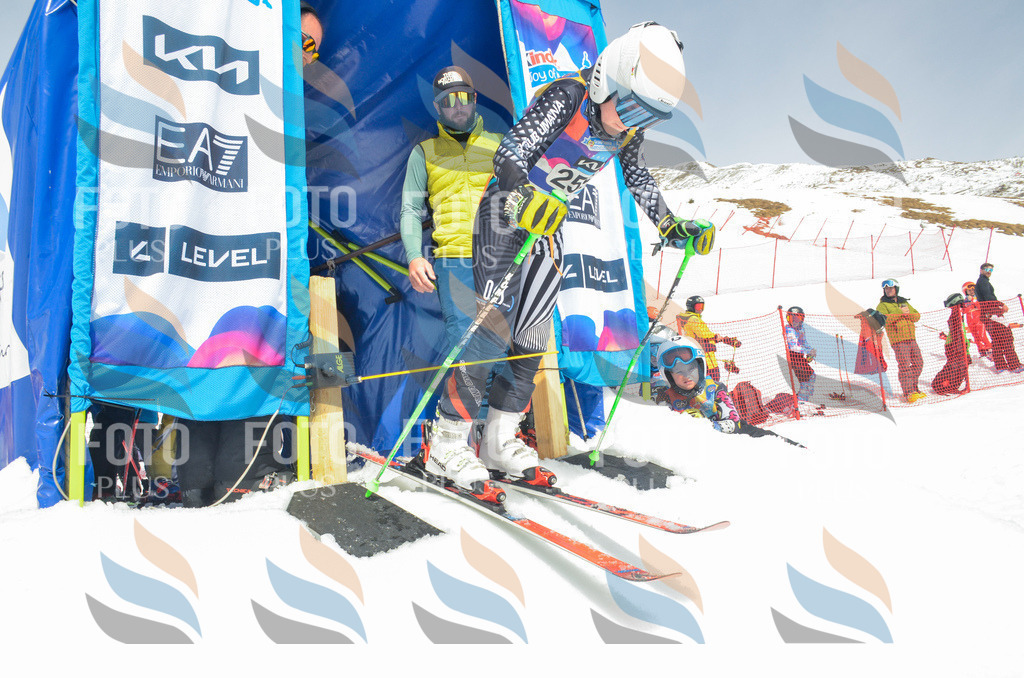 _ELE7604 | holidayphoto