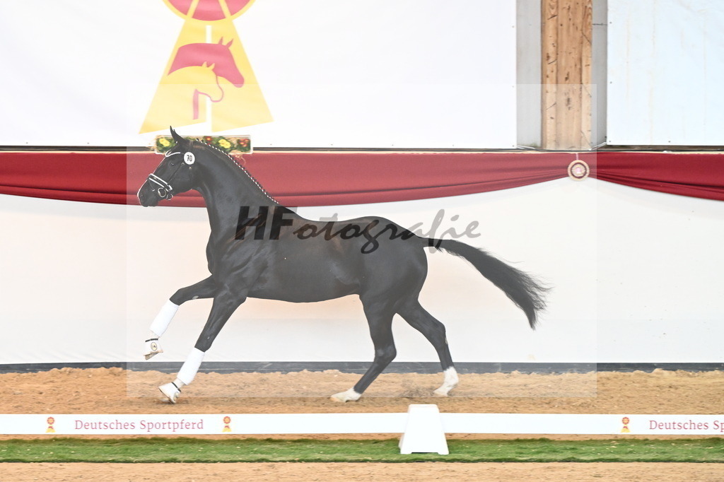 Kat.-Nr. 70 v. Totilas_Fischer_2241045 | hf-fotografie - Realisiert mit Pictrs.com