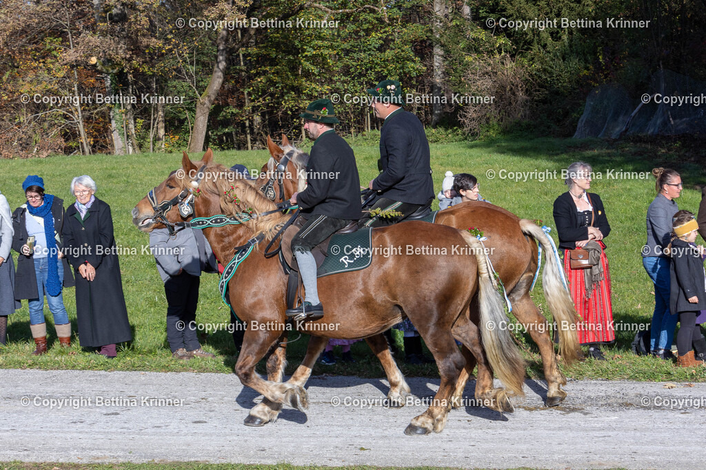 LBT24-775 | foto-bettina-krinner - Realisiert mit Pictrs.com