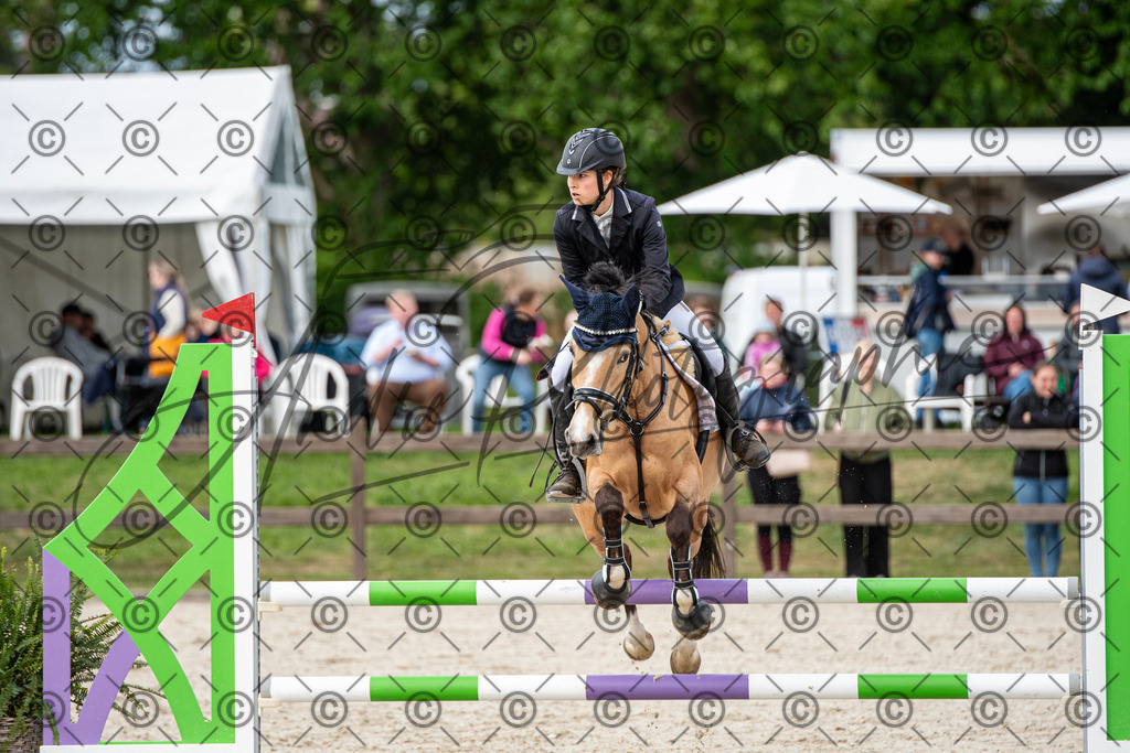 KPT_6924 | andre_photographic