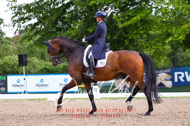 DKP41439 | Deine Turnierfotos vom Reitturnier online kaufen: Dressur, Springen & Siegerehrung. Professionelle Pferdefotografie aus dem Rheinland – als Download & Print.Alternative: Turnierfotograf für den Pferdesport: Finde deine Fotos von Dressur- und Springturnier