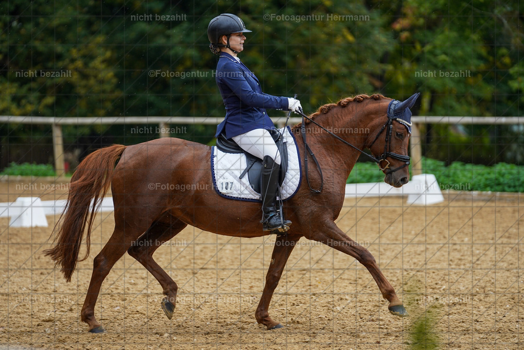 20221008-FAH01830 | Diessen am Ammersee, 2022, Dressur- und Springturnier, Reitsportbilder, Turnierfotografen Bayern, Pferdefotografen, Fotoagentur Herrmann, Turnierbilder