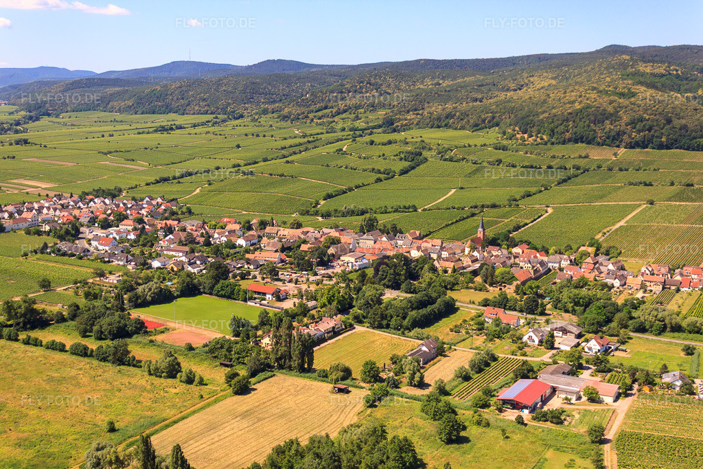 Luftbild: Winzerdorf an der Pfälzer Weinstraße zwischen Weinbergen von Osten in Forst an der Weinstraße im Bundesland Rheinland-Pfalz in Deutschland. Foto: IMG_30148.jpg vom 05.07.2010 durch Werner Riehm/FLY-FOTO.de