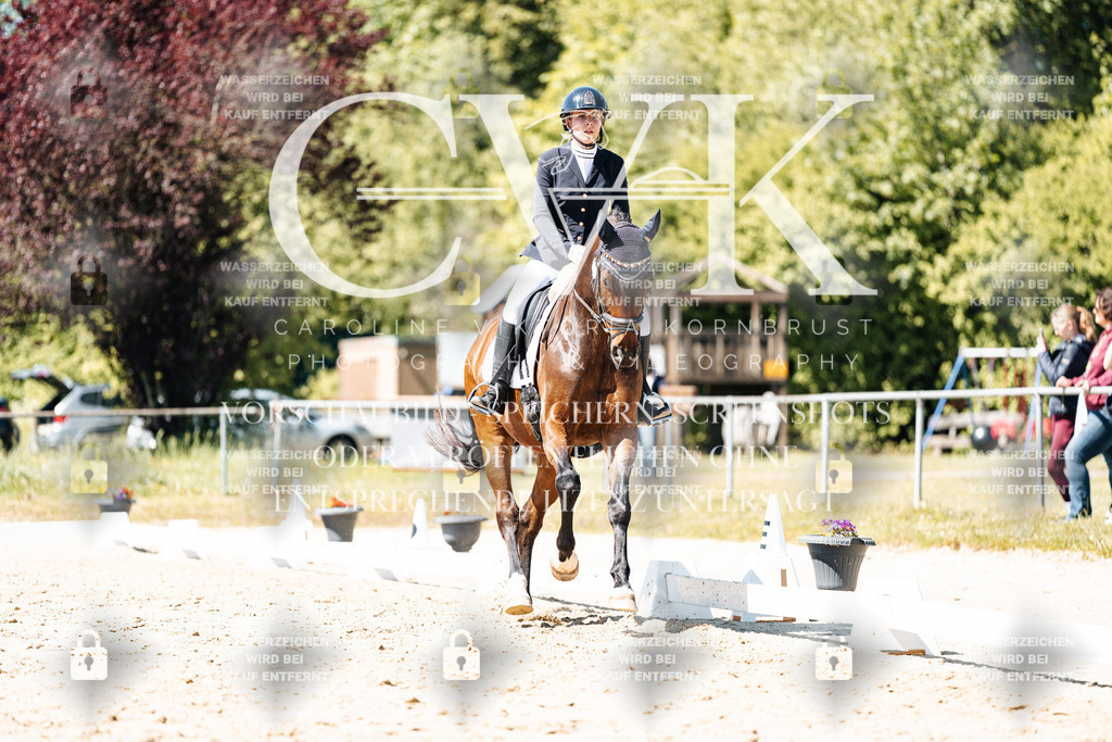 CK905688 | Turnierfotografie Pferdefotografie Trier Rheinland-Pfalz Pferdesport Reitsport Tierfotografie Sportfotografie Pferdevideo Pferdevideografie Equestrianvideography equestrianphotography  - Realisiert mit Pictrs.com