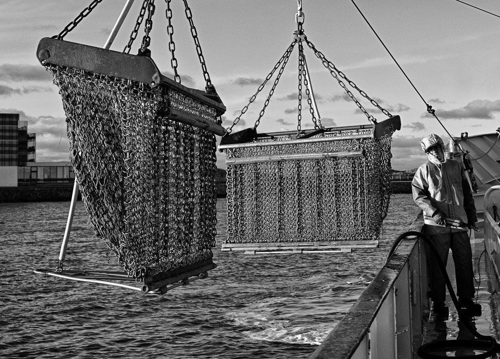 Miesmuschelernte vor Sylt © Holger Rüdel | Der Online-Shop von Holger Rüdel. Ausgewählte Fotografien als FineArt-Prints bestellen: Bildreportagen, Landschaften, Wildlife, History, Infrarot-Motive in Schwarzweiß und Verschiedenes.  - Realisiert mit Pictrs.com
