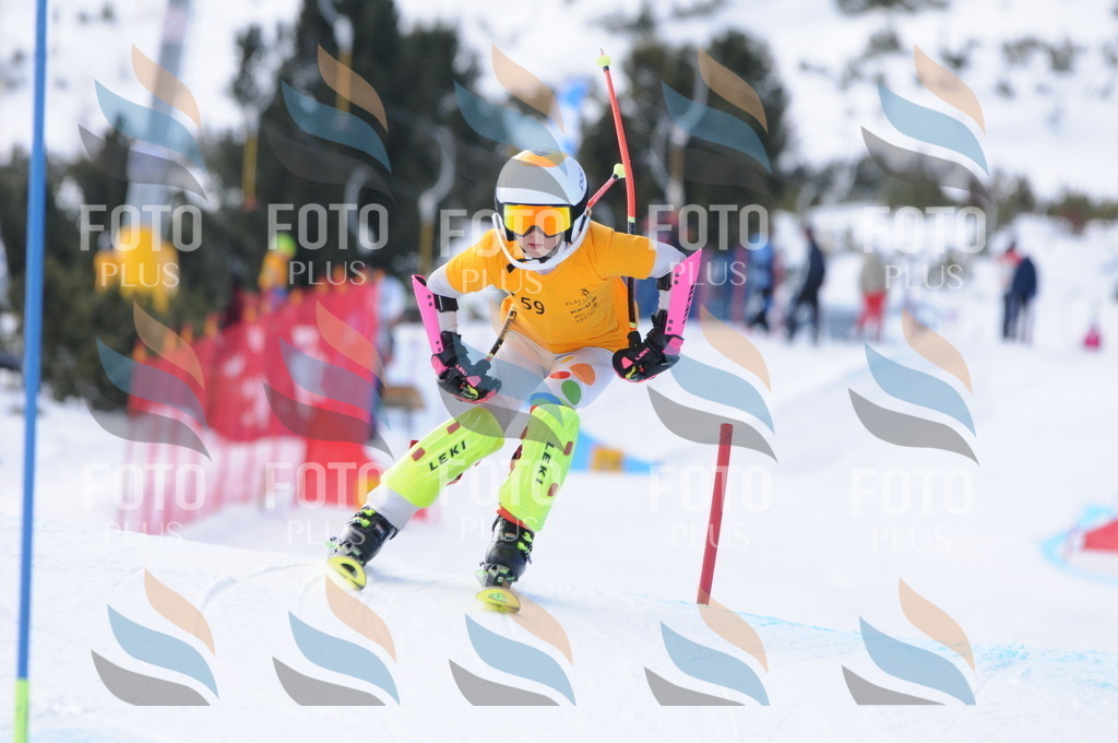 C7331 | holidayphoto