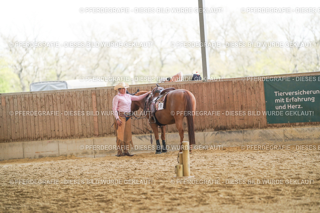 DSC02155 | Pferdegrafie