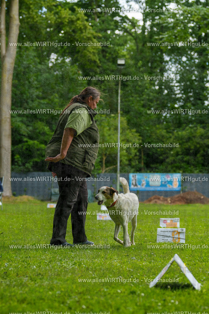 @allesWIRTHgut_Tierfotografie - www.allesWIRTHgut.de - 123020-7R509020 | Professionelle Tierfotografie in Mönchengladbach von Daniel Wirth (allesWIRTHgut). Liebevolle & natürliche Bilder von Hunden & Katzen für unvergessliche Erinnerungen.