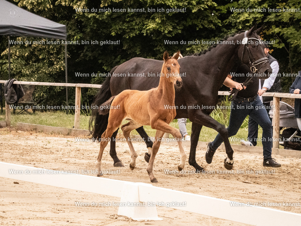 A10I0895 | photographylinaismer - Realisiert mit Pictrs.com