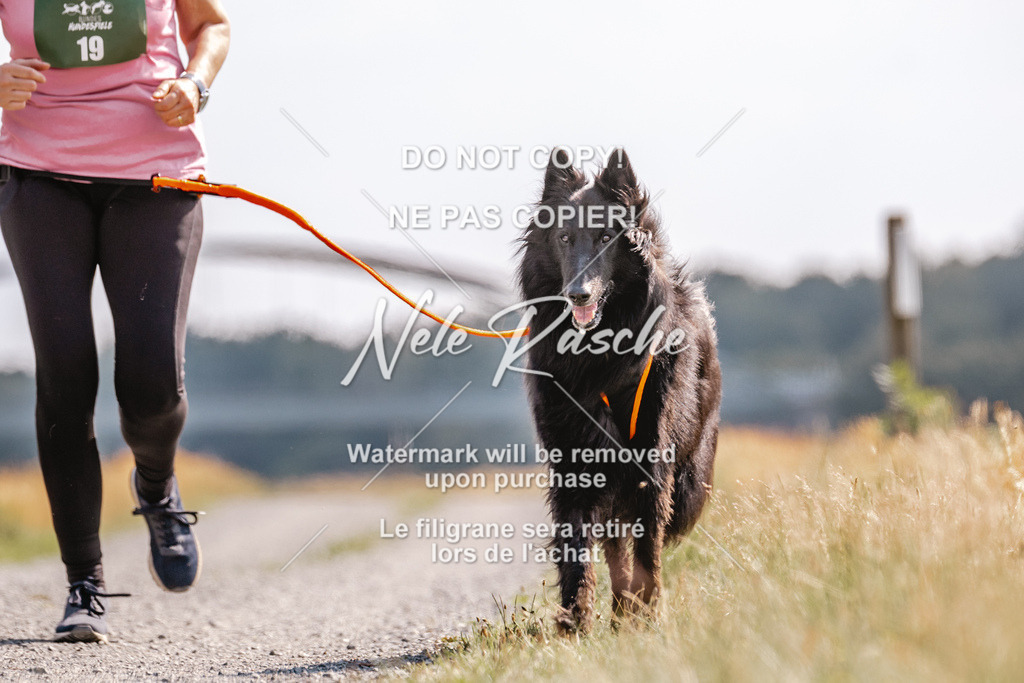 BUHU_CC_254 | nelerasche