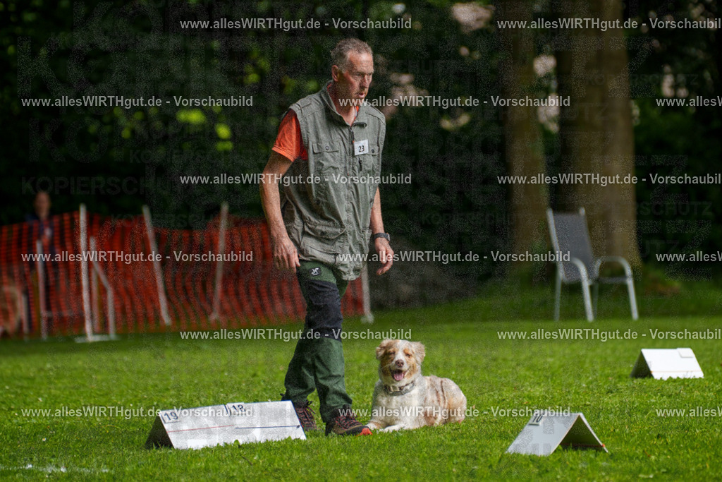 @allesWIRTHgut_Tierfotografie - www.allesWIRTHgut.de - 7R502877 | Professionelle Tierfotografie in Mönchengladbach von Daniel Wirth (allesWIRTHgut). Liebevolle & natürliche Bilder von Hunden & Katzen für unvergessliche Erinnerungen.