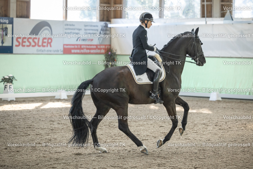 _D5A0318 | Emotionale Pferde- & People-Fotografie rund um Heidelberg, Leimen & Umgebung. Natürliche Fotos von Pferd, Mensch & Familie. Jetzt Termin sichern!