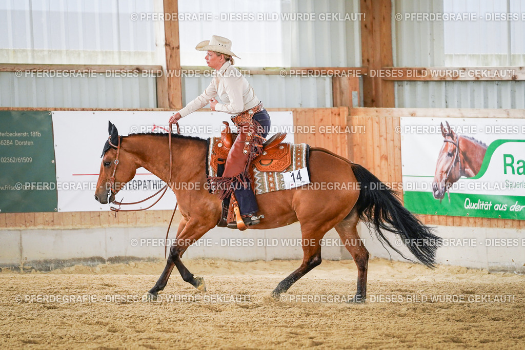 DSC03089 | Pferdegrafie