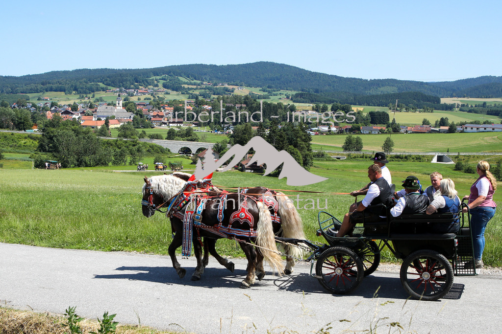 OE7A8477 | es geht wieder hinunter zurück nach Rinchnach