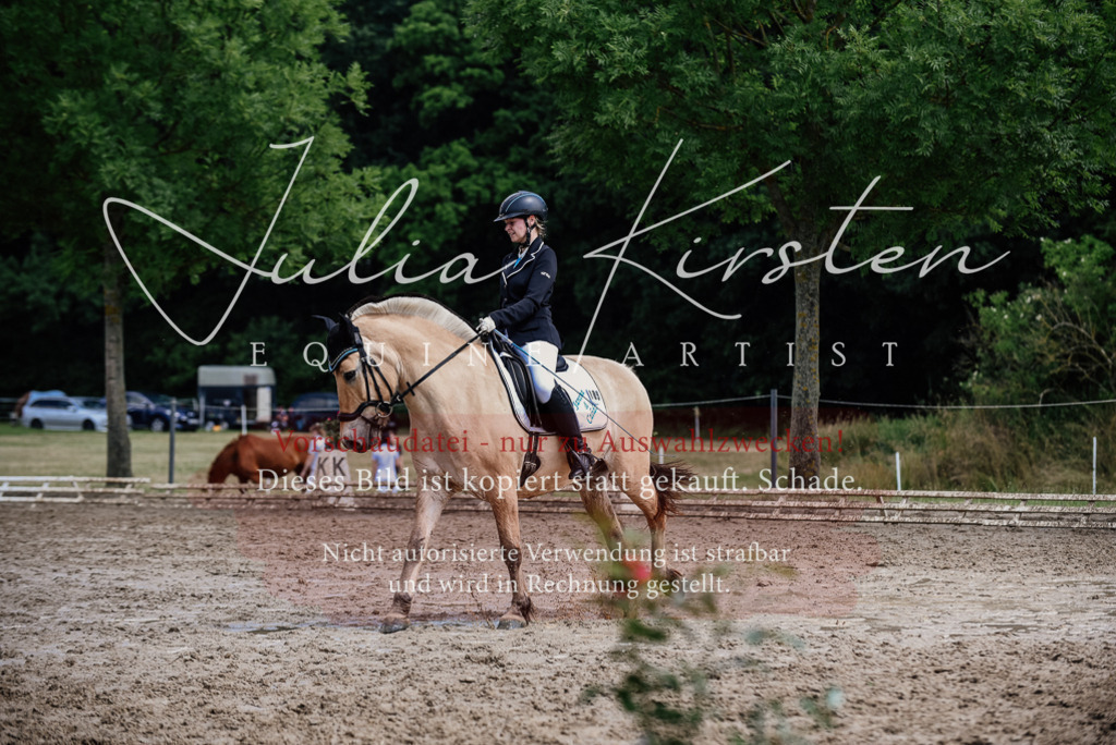 DSC_1692 | Pferde- und Turnierfotografie in Westsachsen. Pferdeportraits, Auftragszeichnungen und intuitive Kunst.