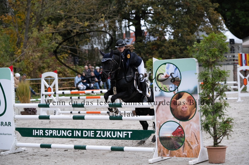 A7V08842 | Turnier/Reitfotograf