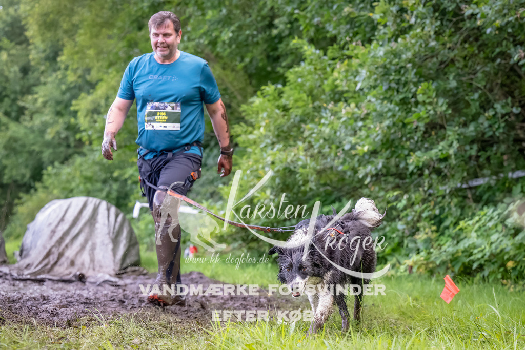 1151_ZZ94645-Bearbeitet | kk-dogfotos