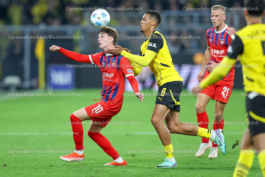 BVB13092401028 | 13.09.2024, 1. Fußball Bundesliga, Borussia Dortmund - 1. FC Heidenheim 1846, Signal Iduna Park, Saison 2024 2025: Zweikampf Paul Wanner (Heidenheim #10) gegen Felix Nmecha (BVB #8)DFB regulations prohibit any use of photographs as image sequences and or quasi-video.