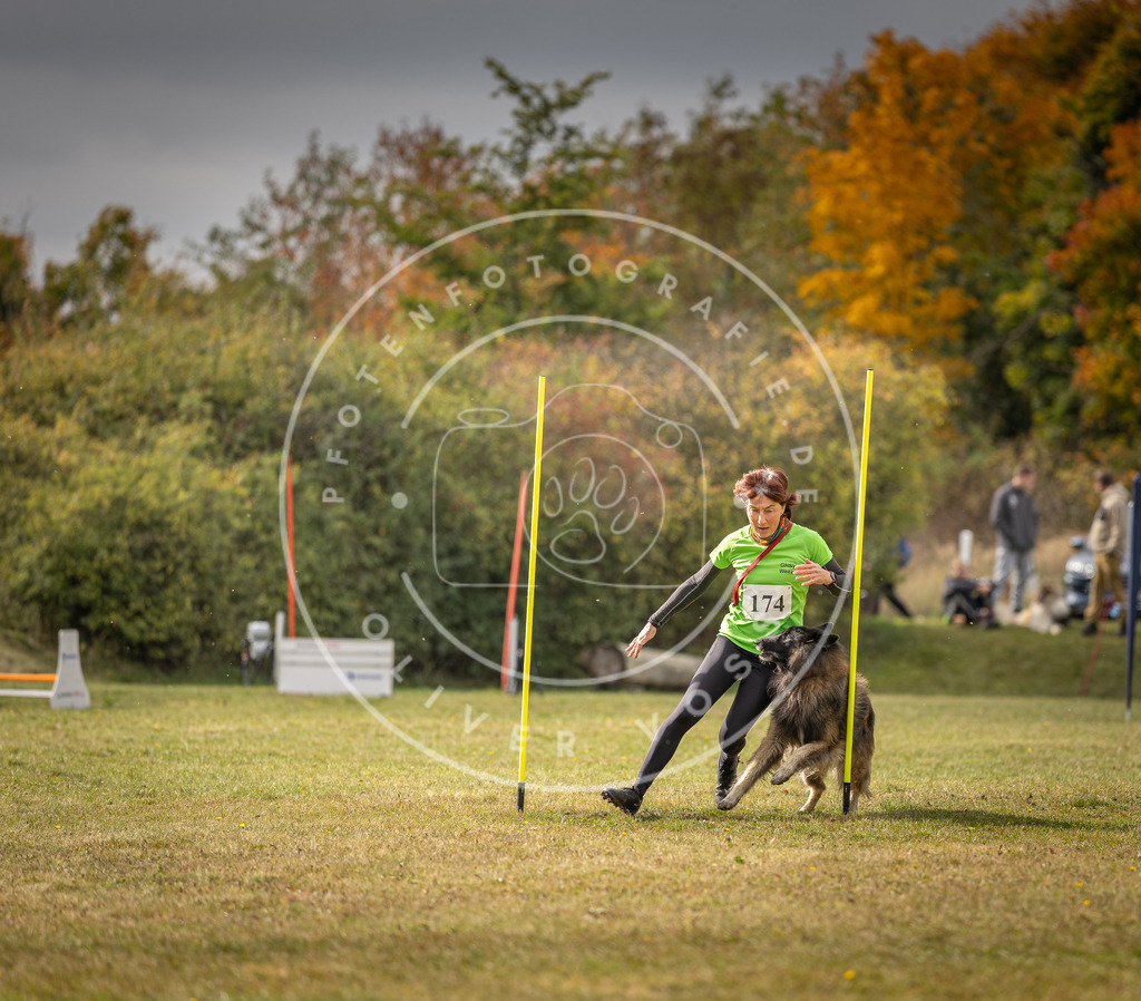 Pfotenfotografie_DV3A5835 | Hundefotografie, Tierfotograf, Pfotenfotografie, Fotoshooting Hund, Hunde Portrait, Hundesport, Hundeportraits, Heideshooting, Hunde, Sportfotograf, Hundefotograf, Turnierhundsport, THS,  - Realisiert mit Pictrs.com