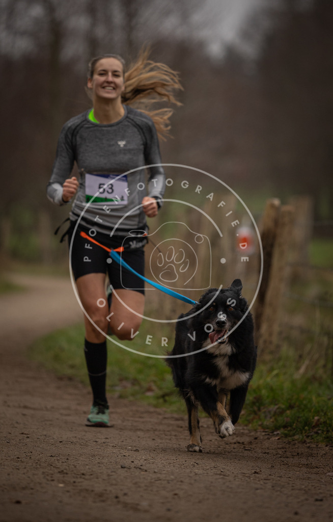 Pfotenfotografie_DV3A2932 | Hundefotografie, Tierfotograf, Pfotenfotografie, Fotoshooting Hund, Hunde Portrait, Hundesport, Hundeportraits, Heideshooting, Hunde, Sportfotograf, Hundefotograf, Turnierhundsport, THS,  - Realisiert mit Pictrs.com