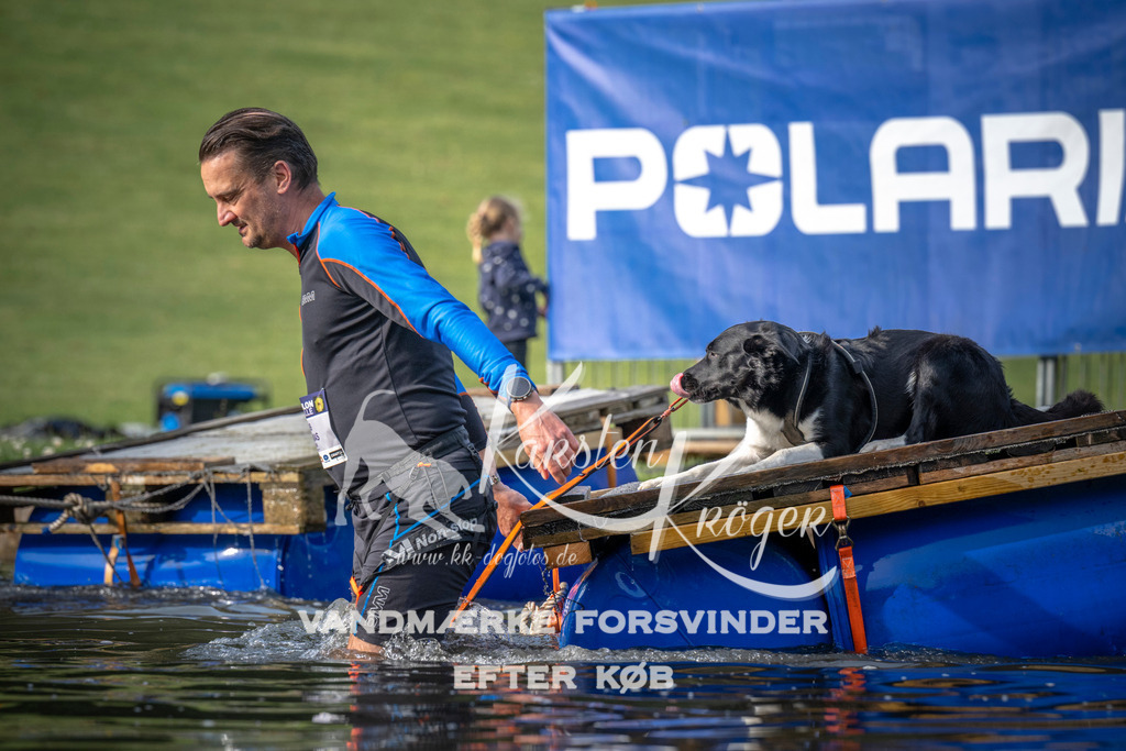 _ZZ934490705 | kk-dogfotos