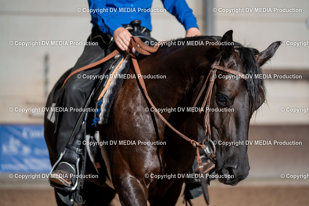 LM Heiligenwald Tag 3-284 | dv-media-shop - Realisiert mit Pictrs.com