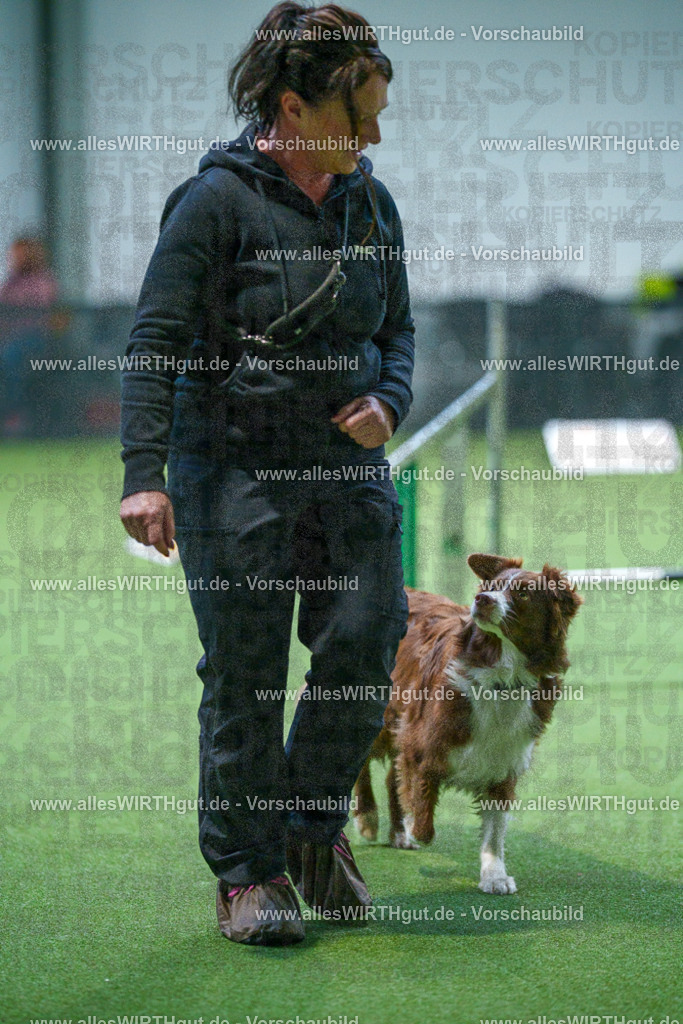 7R501718 | Professionelle Tierfotografie in Mönchengladbach von Daniel Wirth (allesWIRTHgut). Liebevolle & natürliche Bilder von Hunden & Katzen für unvergessliche Erinnerungen.