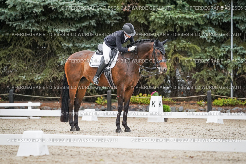 DSC09745 | Pferdegrafie