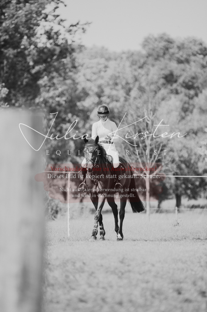 DSC_0591 | Pferde- und Turnierfotografie in Westsachsen. Pferdeportraits, Auftragszeichnungen und intuitive Kunst.