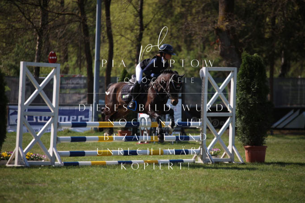 IMGT5685 | pl-fotografie