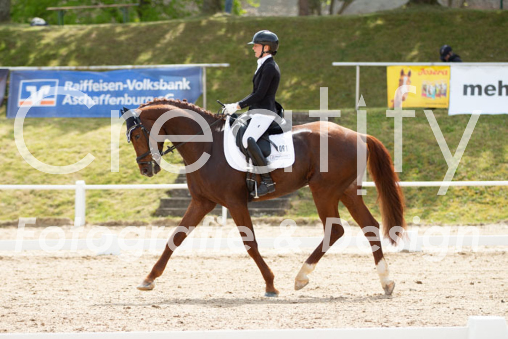 IMG_2499 | Creatify Fotografie