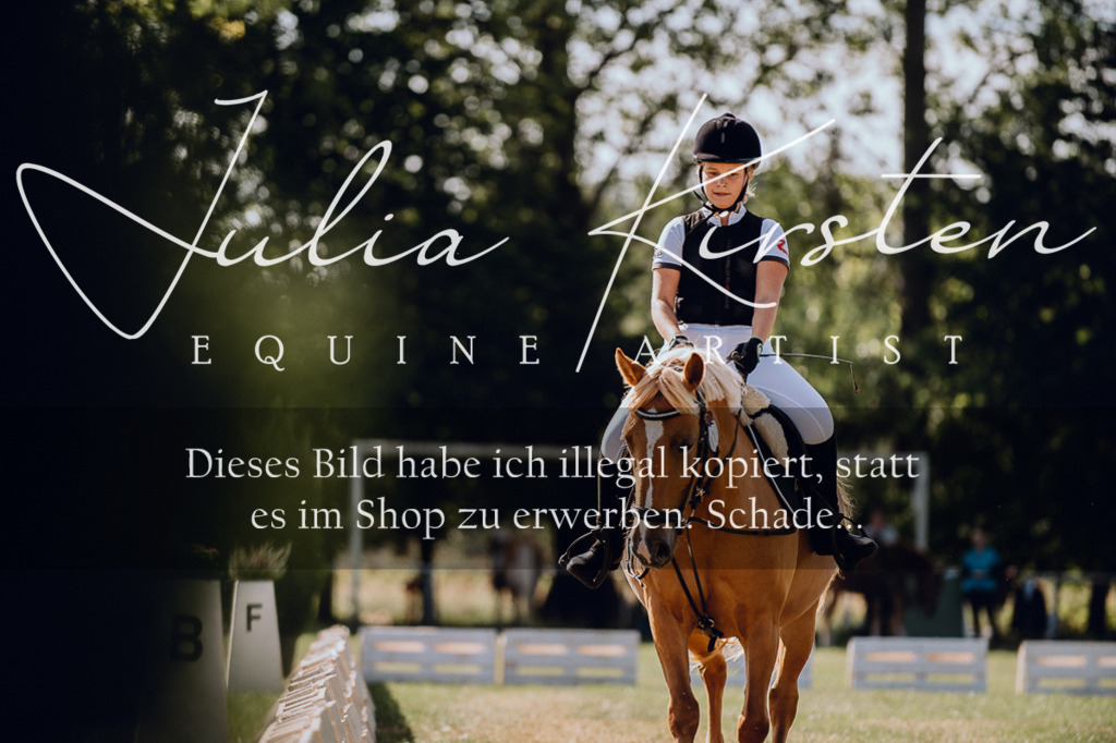 DSC_7135 | Pferde- und Turnierfotografie in Westsachsen. Pferdeportraits, Auftragszeichnungen und intuitive Kunst.