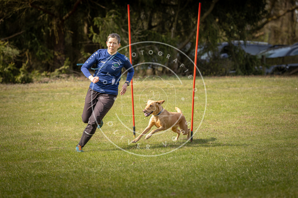 Pfotenfotografie_DV3A9709 | Hundefotografie, Tierfotograf, Pfotenfotografie, Fotoshooting Hund, Hunde Portrait, Hundesport, Hundeportraits, Heideshooting, Hunde, Sportfotograf, Hundefotograf, Turnierhundsport, THS,  - Realisiert mit Pictrs.com