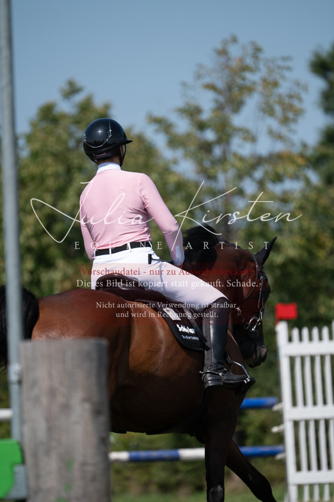 DSC_0583 | Pferde- und Turnierfotografie in Westsachsen. Pferdeportraits, Auftragszeichnungen und intuitive Kunst.