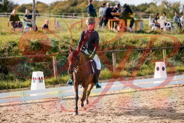 2026_10_03_Siefer-Hof_120541_Z63_36315887 | Professionelle Reitsport-, Turnier- und Eventfotografie von Robert Broda. Galerien mit ausgewählten und bearbeiteten Bildern direkt online ansehen und bestellen.